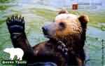 Серия: Фауна Урала - Медведь бурый